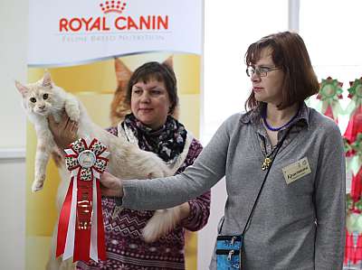 �������� ����� '�������� ���-�����'  10-11 ��� 2014 5-105-169A5190 copy.jpg